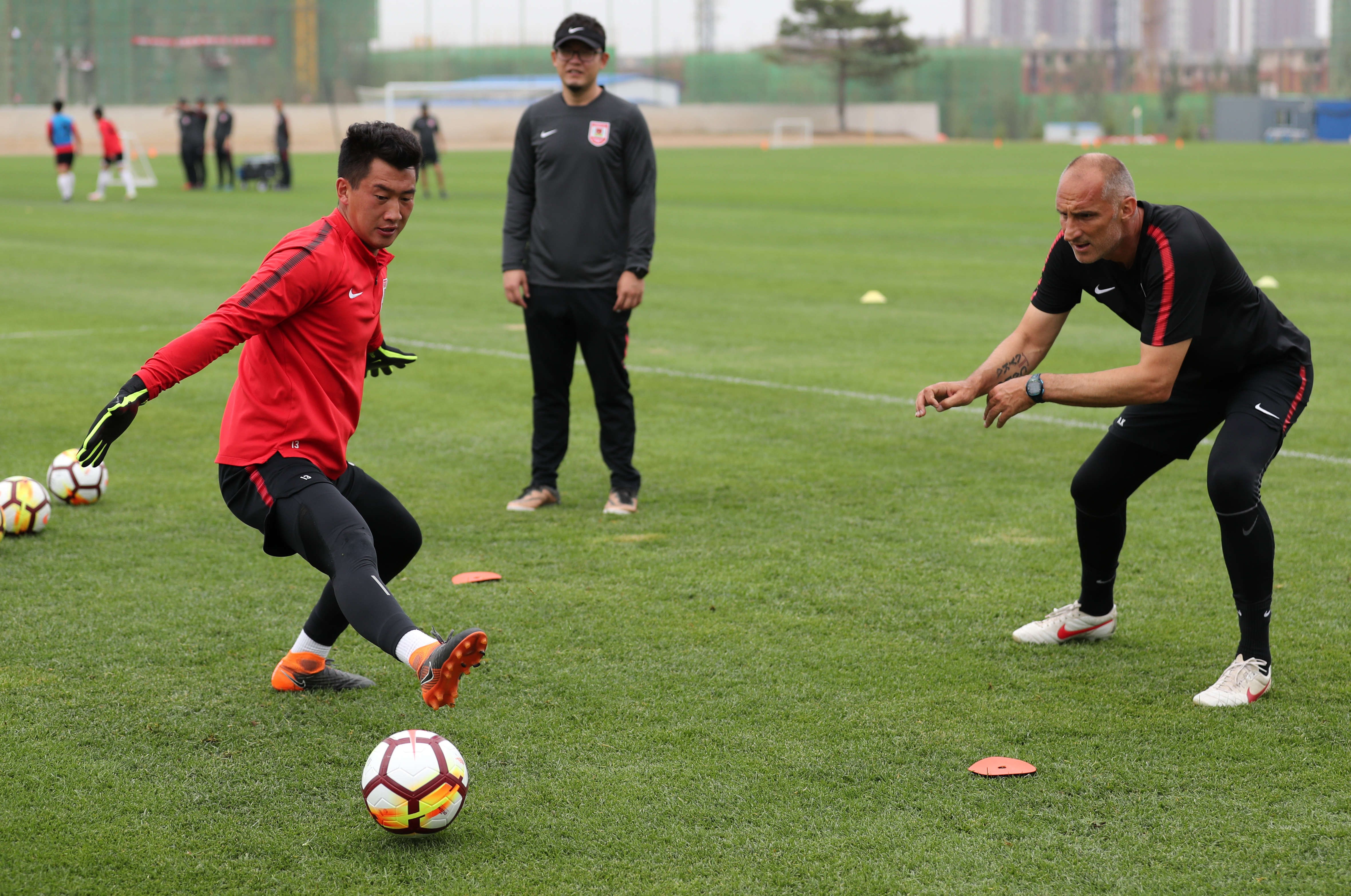 教练组成员接受采访，分享训练心得