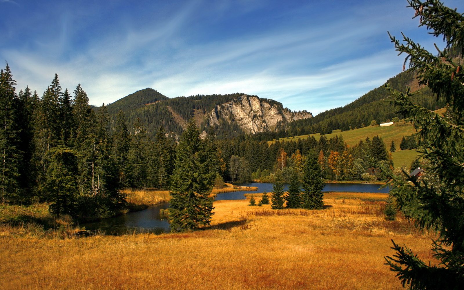 美加墨世界杯焦点战，西班牙的新斗牛士军团如何用一场战术革命击溃里昂