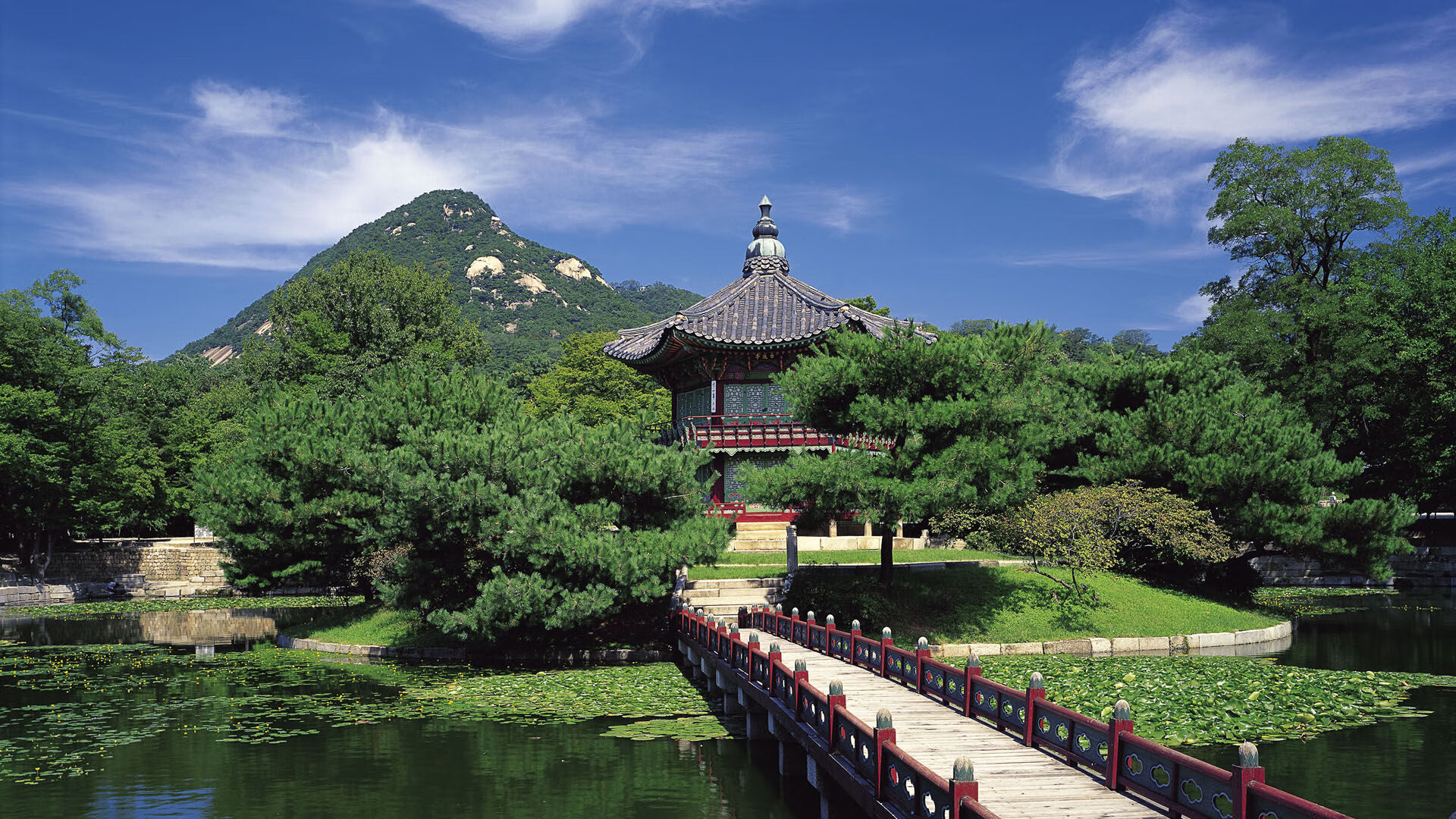 当阿劳霍在柏林升起南美高墙，勒沃库森用空间手术刀打穿了塞内加尔的整道防线