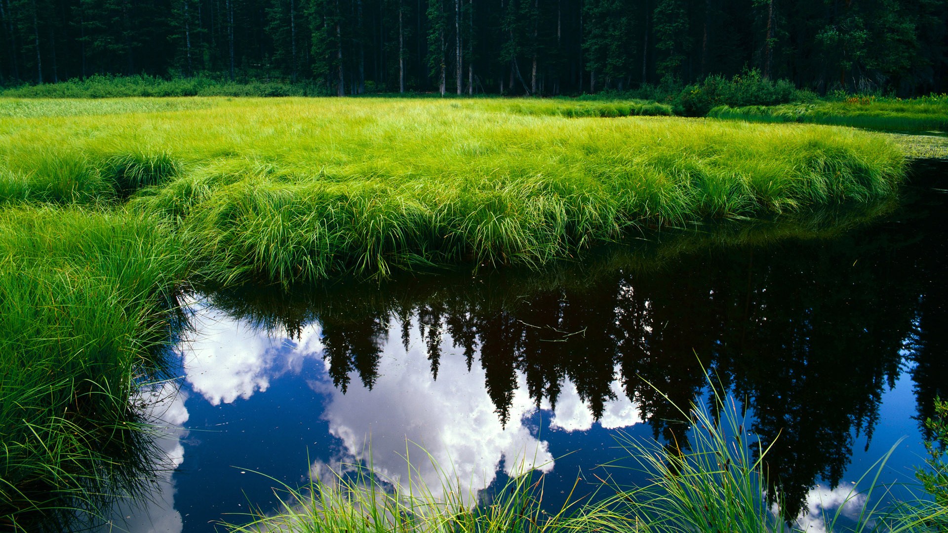 绿茵场上的篮球德比，独行侠式防守斩落美洲之王