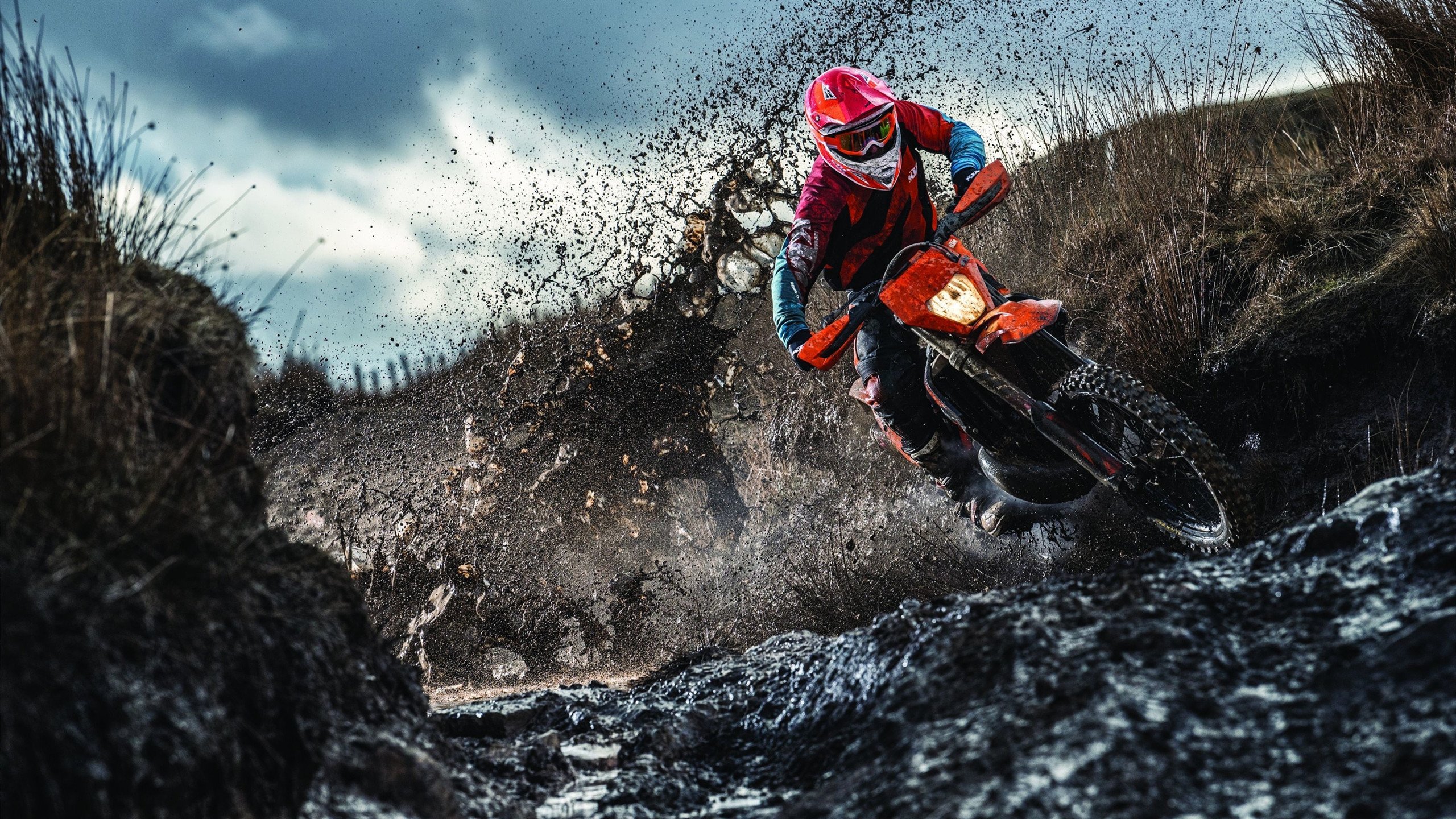 福尔登荒原的回响,萨卡的雷霆一击与曼彻斯特王朝的黄昏