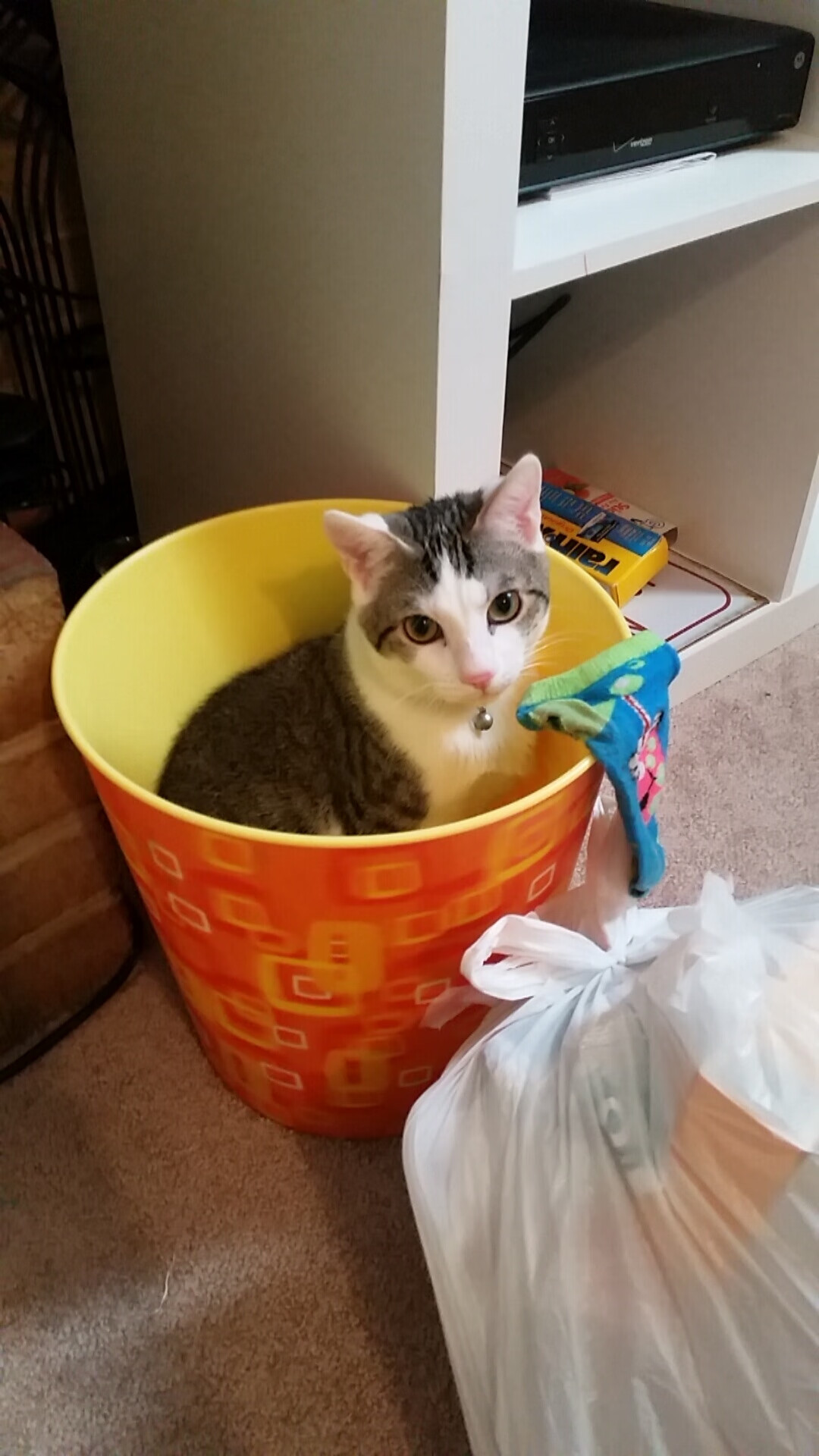 数据谎言，文班亚马封神夜，为何篮网笑了？