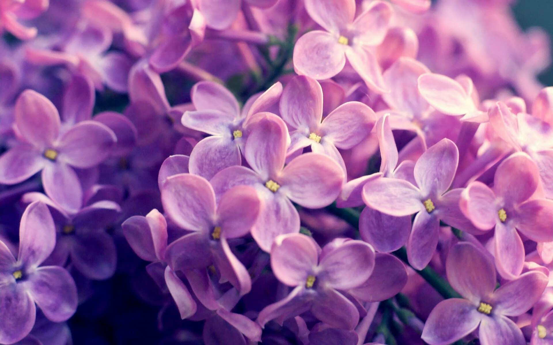 当奇才遇上独行侠，布克撕掉标签之夜