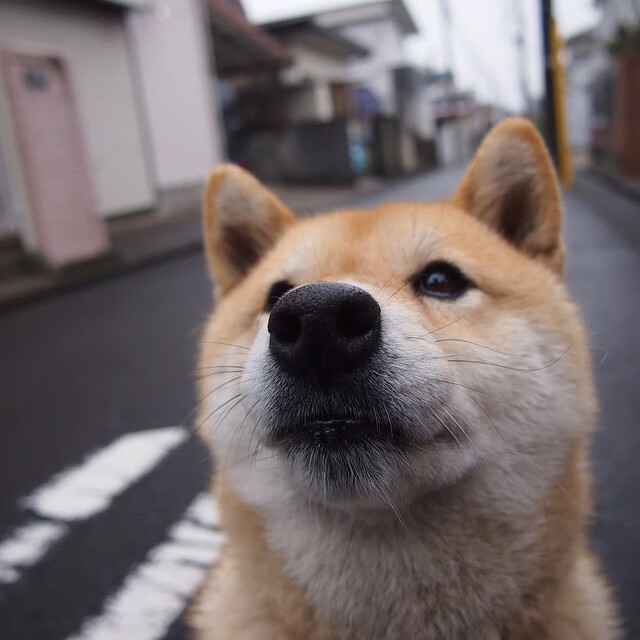雷火电竞网址-跨越太平洋的巨浪，英格拉姆49分神迹助太阳击落辽宁