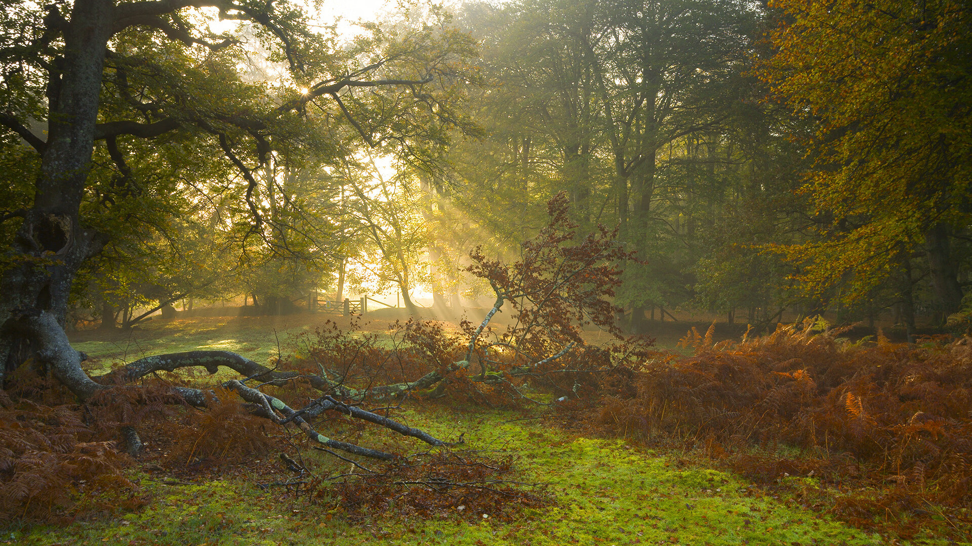 胜负手与无形之手，魔术轻取上海队背后的现代篮球密码