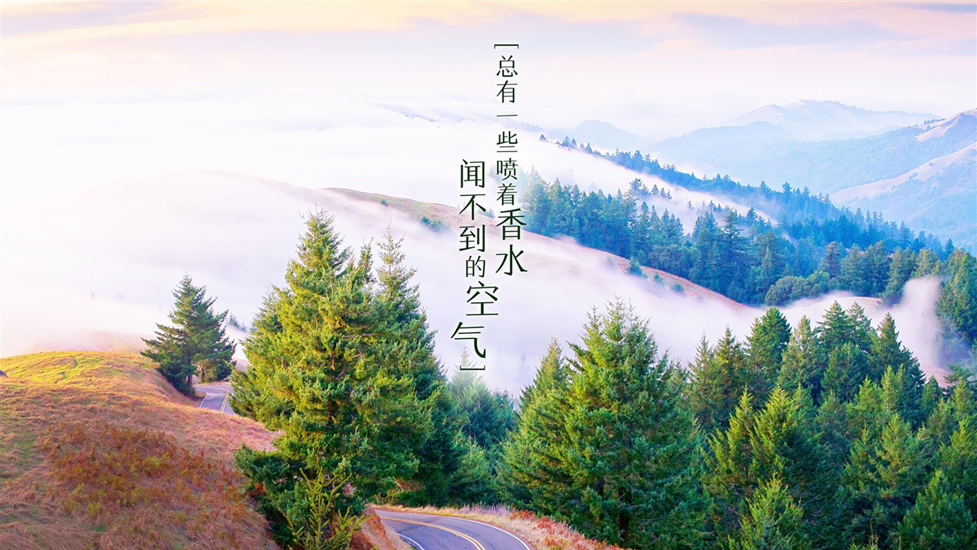 沙漠风暴下的压哨绝唱，托纳利惊世一击，阿联酋2-1险胜丹麦，2026世界杯B组奏响最强音