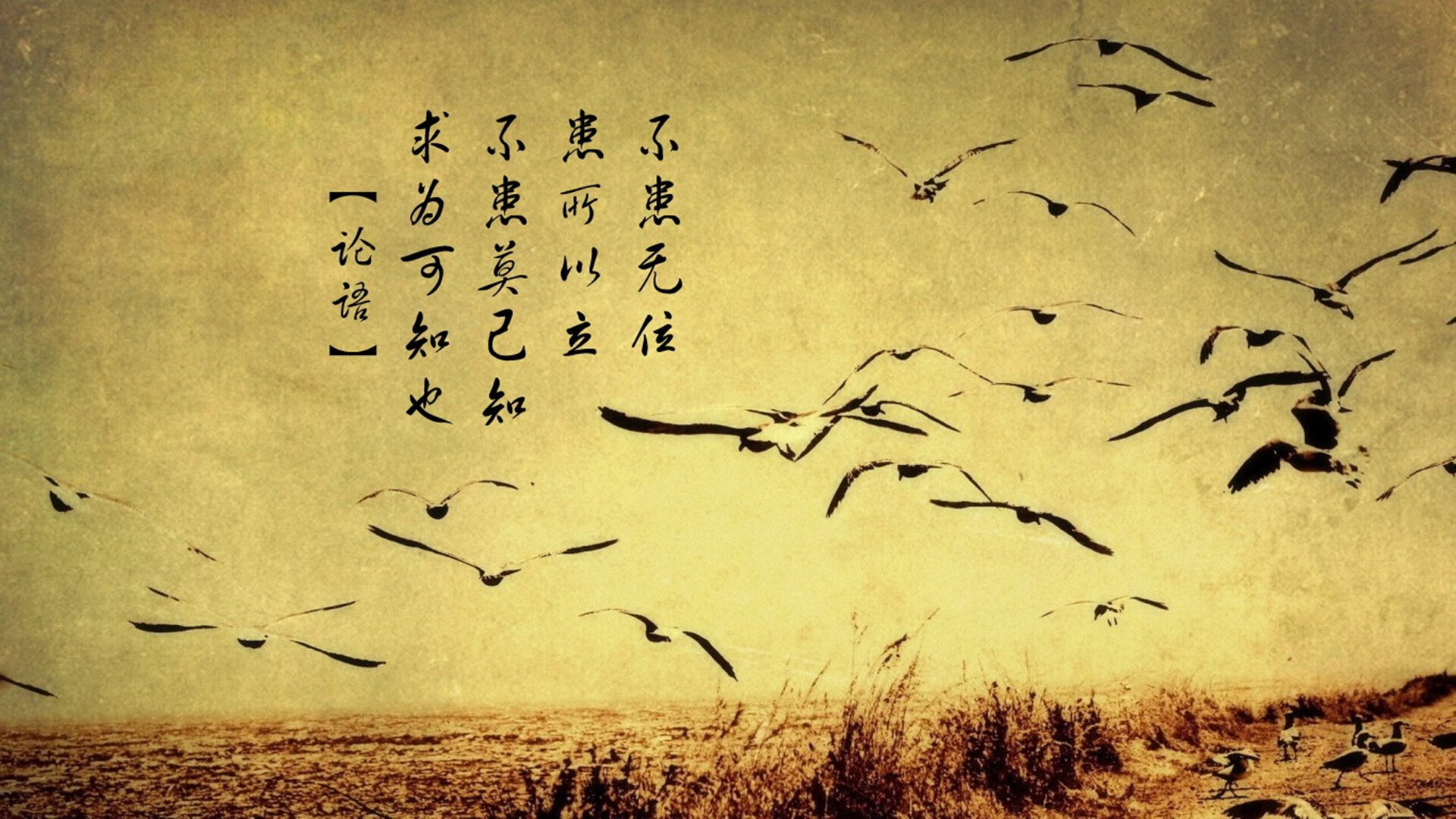 这是一篇为你定制的、具有强烈唯一性视角的文章。它不仅描述了一场比赛，更构建了一个关于宿命、传承与时间交错的叙事