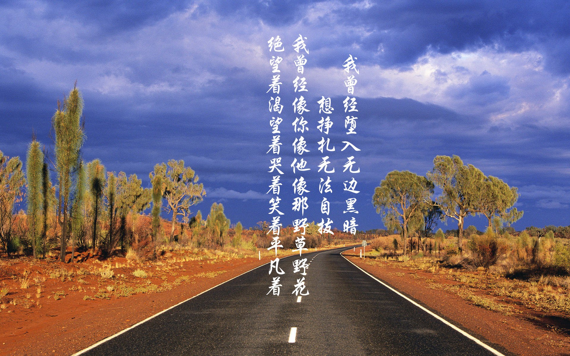 蓝焰对决,2026世界杯强强对话,比利时节奏掌控终结阿联酋神话,齐耶赫独舞闪耀全场