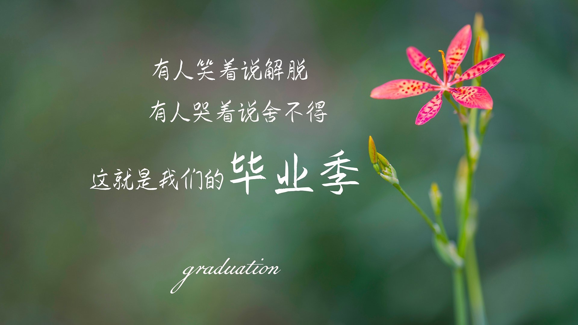 雷火电竞官网-孤星闪耀，2026世界杯C组关键战，罗马尼亚力克哥伦比亚，孙兴慜以唯一性定义逆袭之夜