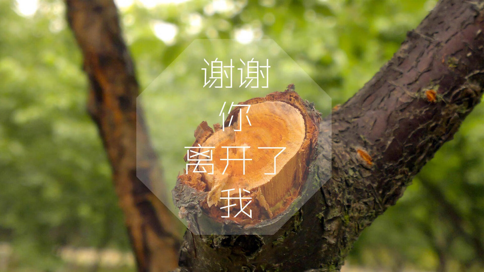 唯一的路标，在里斯本的雨夜，吉鲁用一次触球定义2026的秩序
