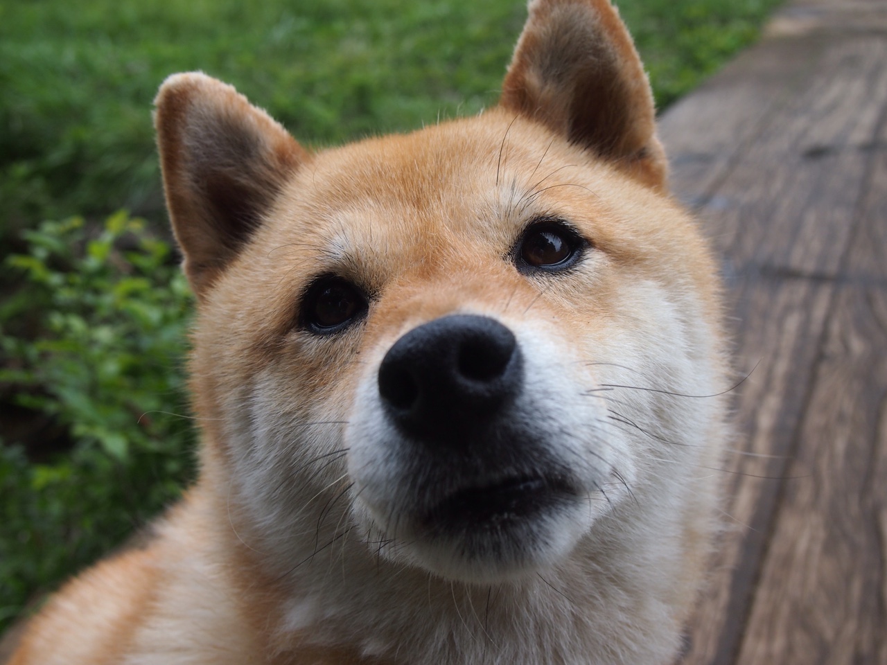 思维扩展与标题构思