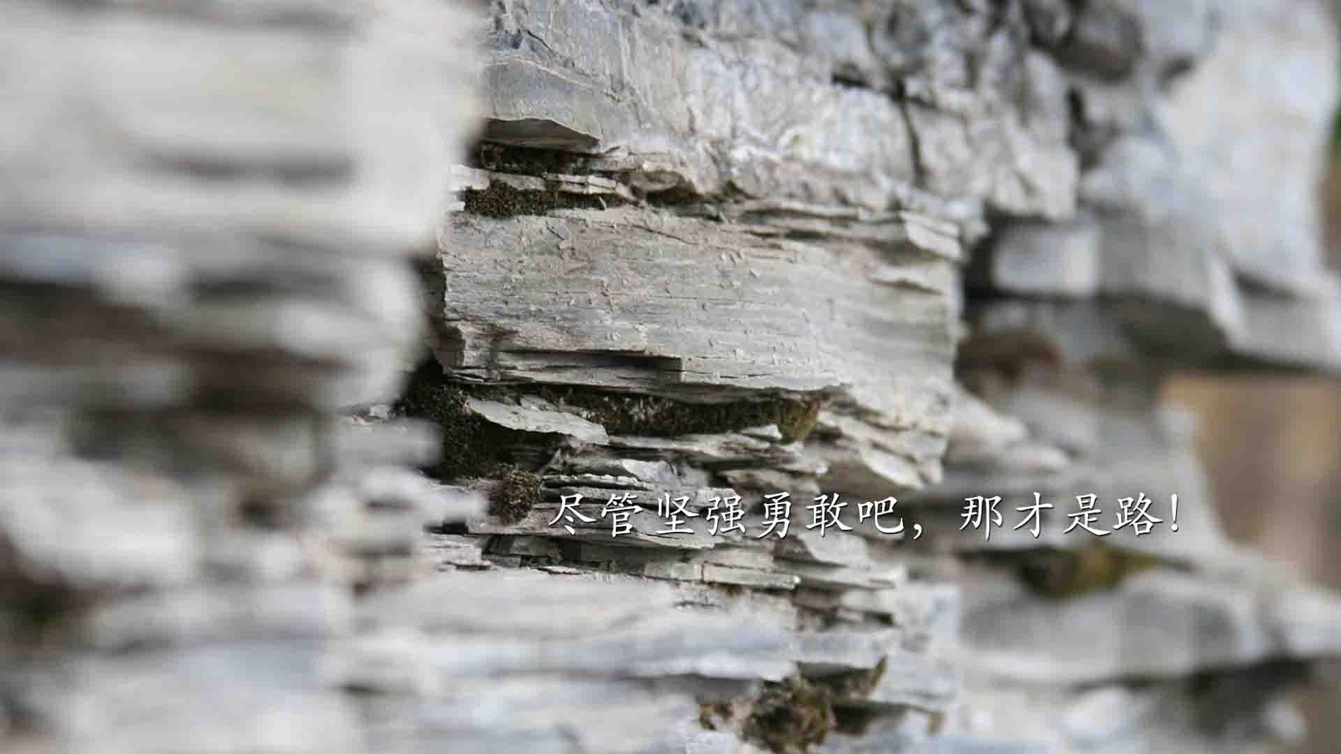 枫叶旗卷起风暴，2026世界杯F组，加拿大用一场迪亚斯式狂飙，把葡萄牙钉在历史的冷门上